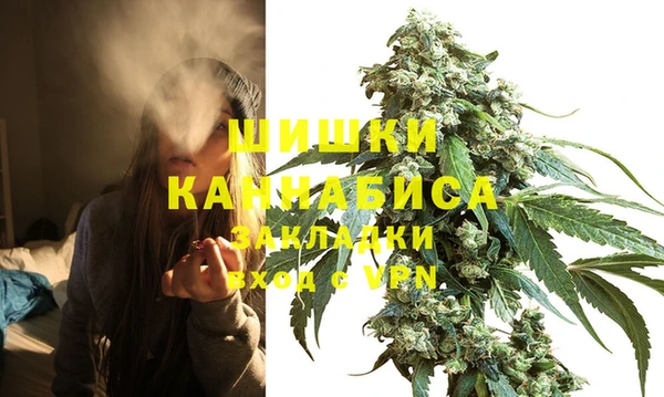 ECSTASY Каменка