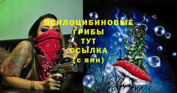 mix Каменногорск