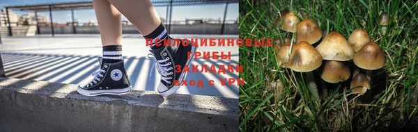 твердый Карталы
