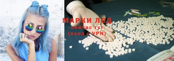ECSTASY Каменка
