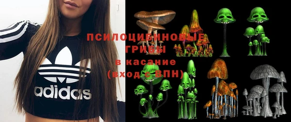 mix Каменногорск