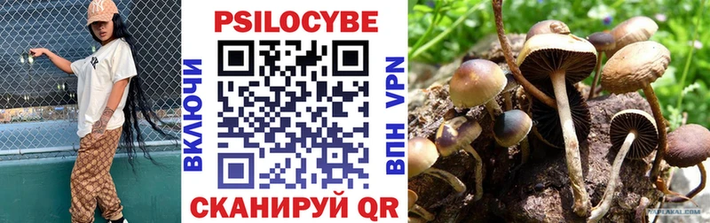 Купить  Жердевка  Галлюциногенные грибы MAGIC MUSHROOMS 